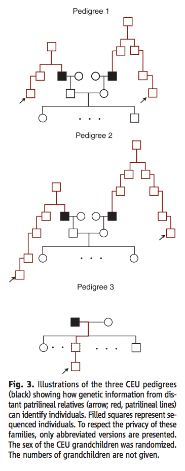Illustration for article titled Your Biggest Genetic Secrets Can Now Be Hacked, Stolen, and Used for Target Marketing